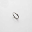 【ReZARD】Silver Ring(4)