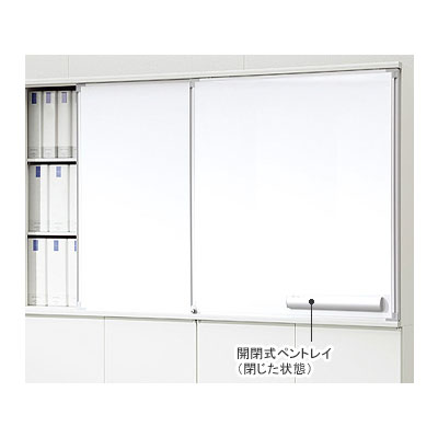 【メーカー取り寄せ品】壁面収納家具D450用スライドボードセット（2連2枚／無地+無地）◆RFSWB-L200