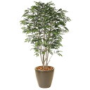 トネリコ H1500mm HBKD-1-004 インテリアグリーン オフィスグリーン 観葉植物 フェイクグリーン