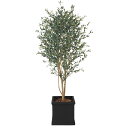 オリーブH1500mm HBKD-1-008 インテリアグリーン オフィスグリーン フェイクグリーン 観葉植物