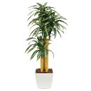 幸福の木(グリーン) H1600mm HBKD-1-018 観葉植物 インテリアグリーン フェイクグリーン オフィスグリーン