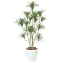 ユッカ(グリーン) H1500mm HBKD-1-019 観葉植物 インテリアグリーン フェイクグリーン オフィスグリーン