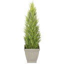 ゴールドクレスト H1200mm HBKD-1-024 観葉植物 インテリアグリーン フェイクグリーン オフィスグリーン
