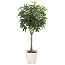 パキラ H1800mm HBKD-2-019 観葉植物 インテリアグリーン オフィスグリーン フェイクグリーン