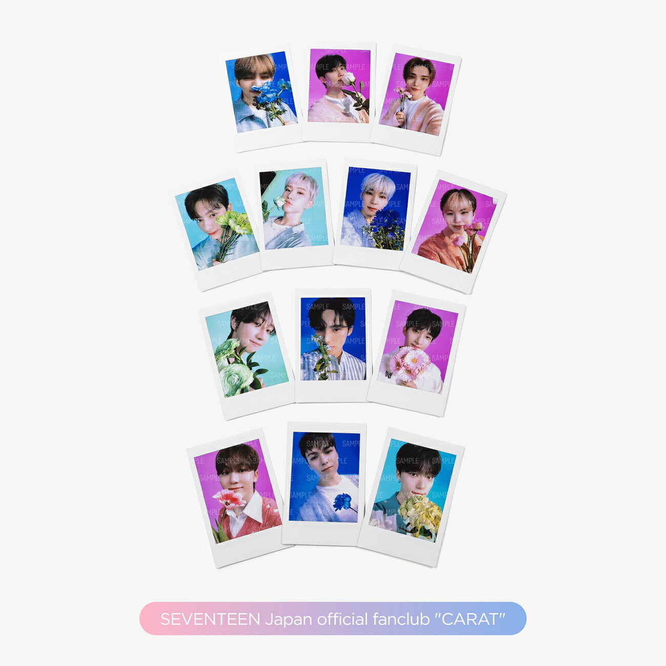 [DREAM] PHOTO CARD 10SET