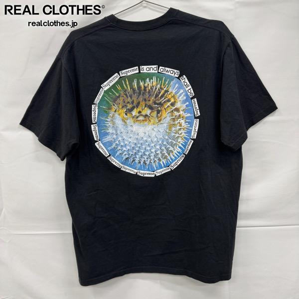 樂天商城 - 【中古】Supreme/シュプリーム【23SS】Blowfish Tee/ブローフィッシュ/ハリセンボン 半袖 Tシャツ/ブラック/XL