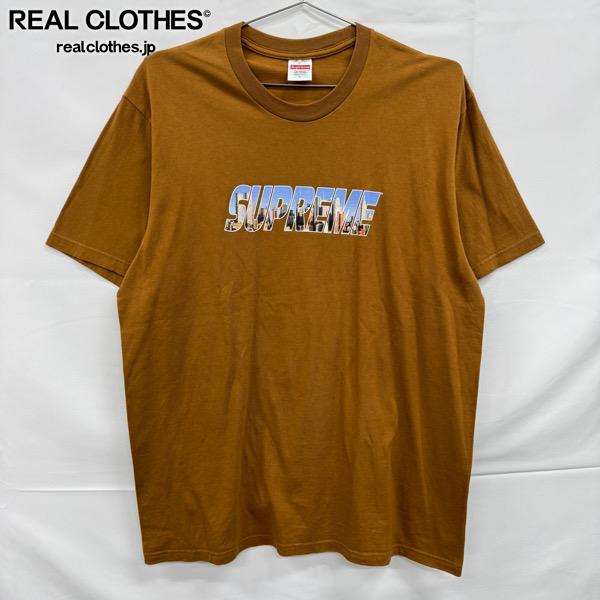 楽天市場】ブラウン（ブランドシュプリーム）（Tシャツ・カットソー