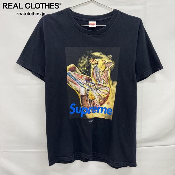 楽天市場】supreme anatomy teeの通販