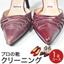 往復 送料無料 靴 クリーニング 「レギュラー」コース 1足 職人 手洗い + 磨き / メンテナンス 仕上げ レディース 洗浄 洗い リペア ケア 革靴 レザ...