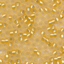 MIYUKI シードビーズ 丸小 11/0 約2mm #1902 金茶(半ツヤ消銀引) ミユキビーズ 半つや消し