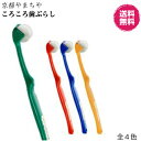 【5/25(日)限定!楽天カード利用でポイント8倍!】京都やまちや ころころ歯ブラシ(4)