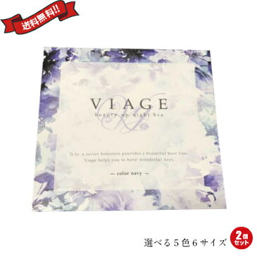 ナイトブラ viage 大きい人用 ヴィアージュ ビューティーアップナイトブラ VIAGE 全5色 2個セット