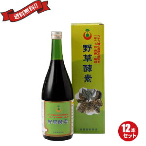 野草酵素 720ml 酵素ドリンク　ファスティング　酵素　12本セット