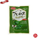【マラソン限定!ポイント2倍!100円クーポン!】プロポリス キャンディー のど飴 森川健康堂 プロポリスキャンディー 100g 2袋セット