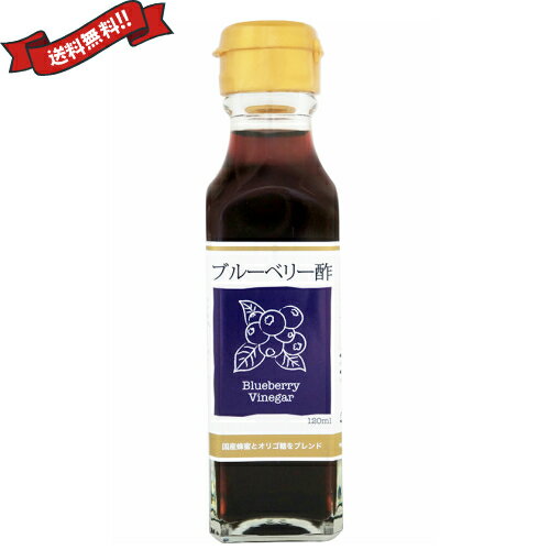 【お買い物マラソン！ポイント6倍！】お酢 ドリンク 飲む ブルーベリー酢 120ml TAC21