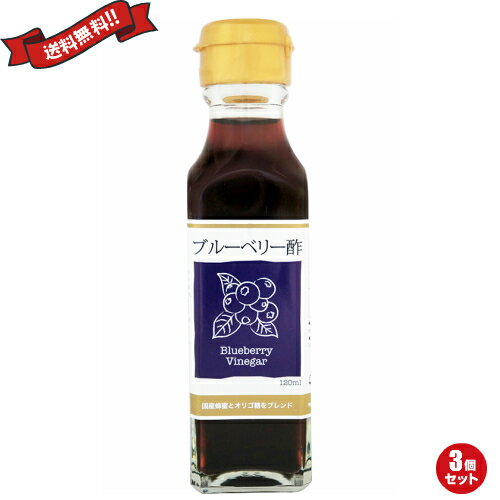 【お買い物マラソン！ポイント6倍！】お酢 ドリンク 飲む ブルーベリー酢 120ml TAC21 3個セット