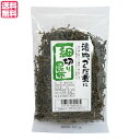 【7/20(日)限定!楽天カード利用でポイント8倍!】昆布 佃煮 細切り 勝みや 細切り昆布 70g