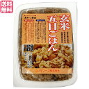 【マラソン限定!100円クーポン!ポイント2倍!】玄米 ご飯 パック コジマフーズ 玄米五目ごはん 160g 送料無料