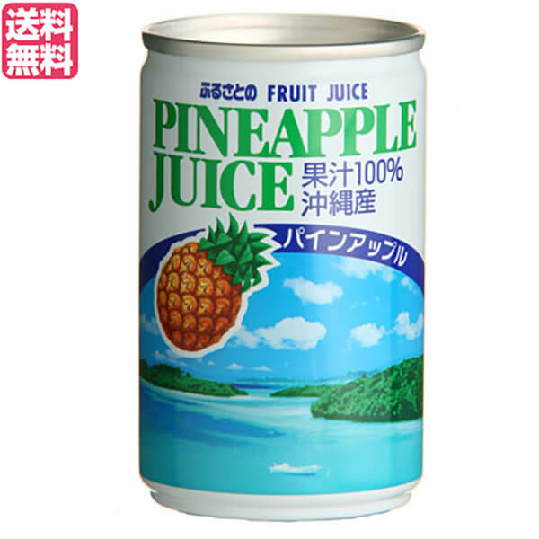 パイナップル ジュース ストレート ふるさとのパインアップルジュース 160g 長野興農 送料無料