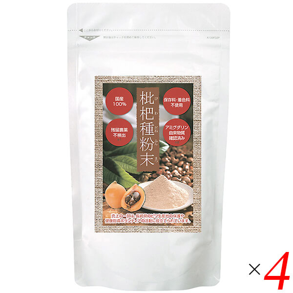 枇杷種粉末 枇杷種 ビワ種 枇杷種粉末 100g 4個セット エス・エフ・シー 送料無料