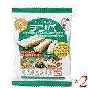 テンペ(レトルト)100g 2個セット マルシン食品 国産 大豆ミート 大豆肉 送料無料