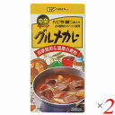 カレー粉 カレールー カレールウ 創健社 グルメカレー(中辛) 115g 2個セット 送料無料