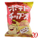 ポテトチップス ポテチ コンソメ 創健社 ポテトチップス 野菜コンソメ味 60g 20個セット 送料無料