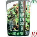 チンジャオロース青椒肉絲 レトルト 光食品 有機青椒肉絲(チンジャオロース)の素 100g 10個セット 送料無料