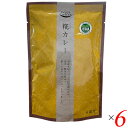 カレー カレールー カレールゥ 井上スパイス 糀カレー 130g 6個セット 送料無料