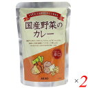 【マラソン限定!100円クーポン!ポイント2倍!】カレー 国産 辛口 ムソー 国産野菜のカレー辛口 200g 2個セット 送料無料(4)