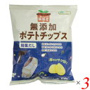 【5/10(土)限定!楽天カード利用でポイント9倍!】ポテトチップス 国産 ノースカラーズ 純国産ポテトチップス・和風だし 53g 3個セット