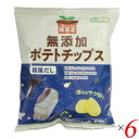 ポテトチップス 国産 ノースカラーズ 純国産ポテトチップス・和風だし 53g 6個セット
