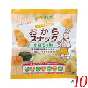 【7/20(日)限定!楽天カード利用でポイント8倍!】おから お菓子 おやつ サンコー おからスナックかぼちゃ味 30g 10個セット 送料無料