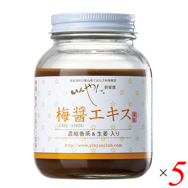 梅梅醤エキス 濃縮番茶＆生姜入り 250g 5個セット いんやん倶楽部