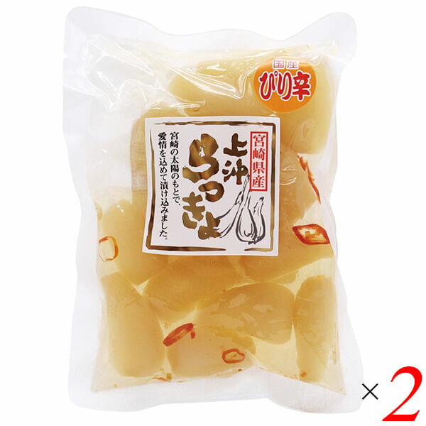 【お買い物マラソン！ポイント5倍！】宮崎県産ピリ辛らっきょう 100g 2個セット 上沖産業 送料無料