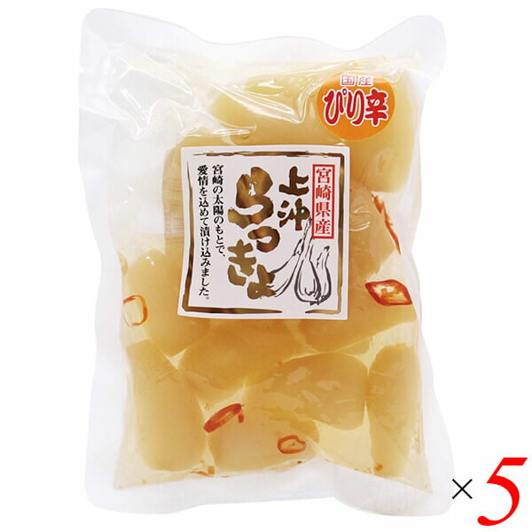【マラソン限定!ポイント2倍!100円クーポン!】宮崎県産ピリ辛らっきょう 100g 5個セット 上沖産業