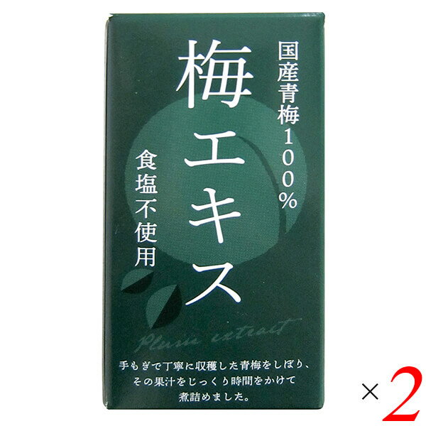 【マラソン限定!ポイント2倍!100円クーポン!】梅 青梅 ペースト 特別栽培梅エキス 王隠堂 65g 2個セット 送料無料