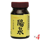 タンポポ 根 たんぽぽ茶 陽泉 100g 4個セット 日本正食品研究所 送料無料