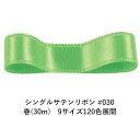 VOTe{ #030 CgCG[O[ 6mm (30m)@9TCY120FWJ@nhCh DIY | Ntg ޗ  CN Ribbon Bon