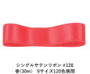 VOTe{ #120 IWbh 18mm (30m)@9TCY120FWJ@nhCh DIY | Ntg ޗ  CN Ribbon Bon