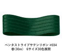 ペンタストライプサテンリボン #034 フォーレストグリーン 24mm幅 巻(30m) 6サイズ30色展開 ハンドメイド DIY 手芸 クラフト 材料 資材 リメイク Ribbon Bon