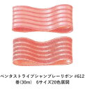 ペンタストライプシャンブレーリボン #612 6mm幅 巻(30m) 6サイズ20色展開 ハンドメイド DIY 手芸 クラフト 材料 資材 リメイク Ribbon Bon