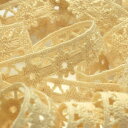 SIC オーガニックコットントーションレース 服飾 手芸 SHINDO