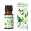  å󥷥륪֥ ʥե쥹/Natural forest 10ml SE-BLEO-3084438350