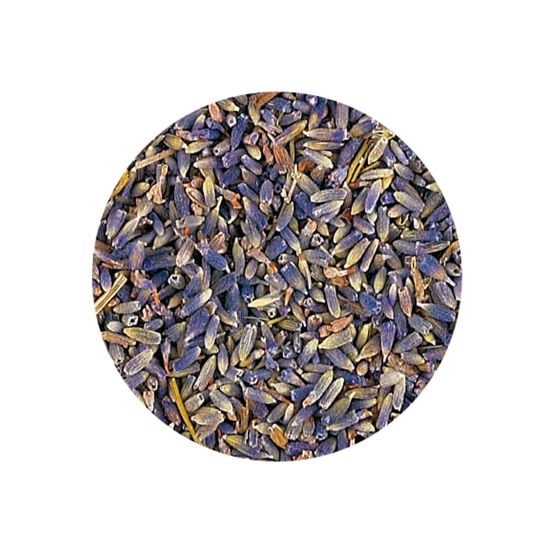  ˡ CONVENTIONAL٥/Lavender 10kgSE-CONV10K-5016444100ۡڼΰ١Բġ