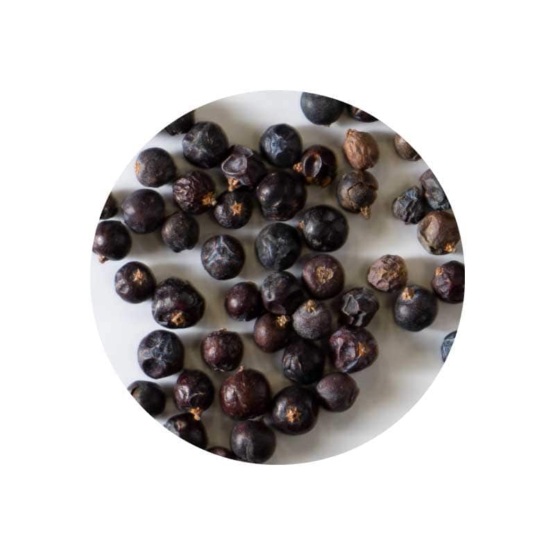 生活の木 オーガニック有機 ジュニパーベリー/Organic Juniper berry 1kg SE-NHB1K-6【019295030】【受注生産の為、返品不可】