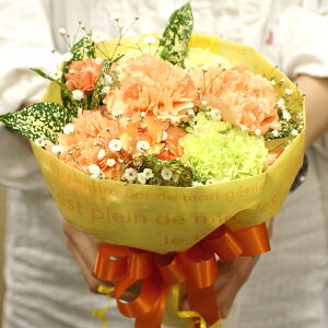 5月5日から5月8日のお届け送料無料 生花 花束カーネーションのブーケ（ビタミンカラー） FL-MD-808【母の日/父の日/贈り物/ギフト/プレゼント/花】【楽ギフ_包装】