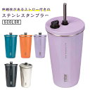 ストロー付きタンブラー ステンレス タンブラー 伸縮ストロー付き TYESO 蓋付き 軽量 水筒 600ml トラベルタンブラー 持ち運び ストラップ付き 保温保冷 結露しない 大容量 コーヒー 真空断熱 水分補給 携帯便利 漏れ防止 お花見 母の日 通勤通学 プレゼント 家族 カップル