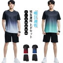 ジャージ 上下 メンズ レディース 夏 上下セット 半袖 セットアップ グラデーション Tシャツ ショートパンツ 短パン 薄手 吸汗速乾 スポーツウェア 男女兼...