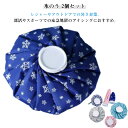 氷嚢 スプレー (別売)氷のう 2個セット スポーツ ゴルフ かわいい アイスバッグ アイシング スプレー ミスト 首 持ち運び オクル 冷感 熱中症対策 暑さ対策 ケガ アイスパック おしゃれ 冷却 膝 肘 首 野球 部活